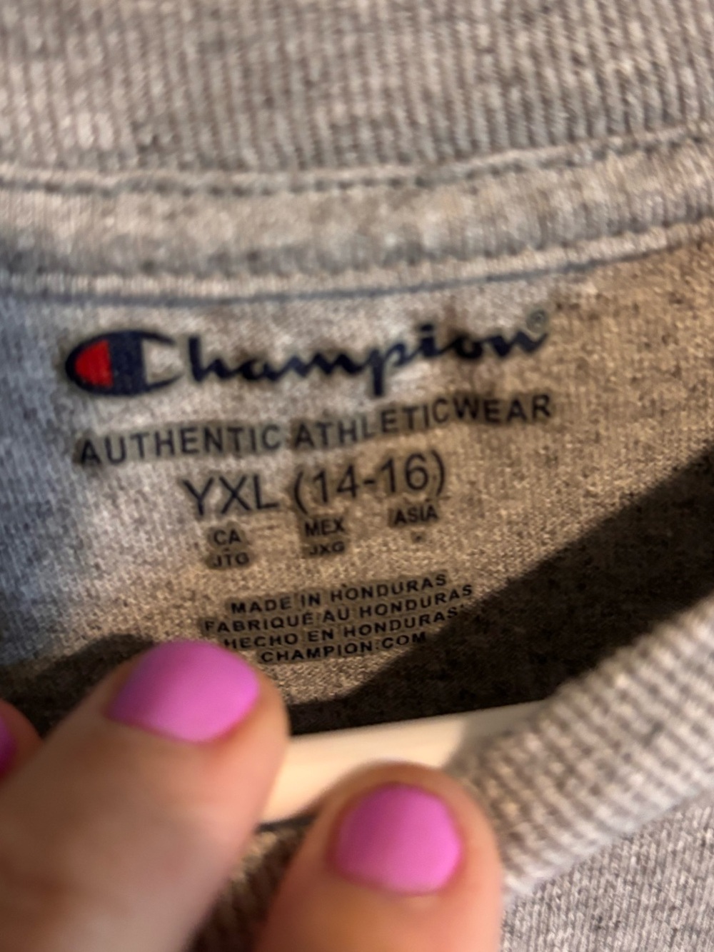 Champion Northern Iowa Panthers Grey Long Sleeve Tee - Purple Print Youth XL - Picture 2 of 3